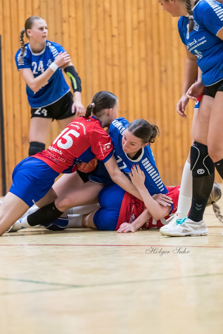 Bild 101 - wBJ TSV Ellerau - HSG Schue/We/Re : Ergebnis: 23:15